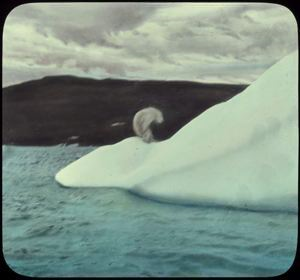 Image of Polar Bear Shot on Berg